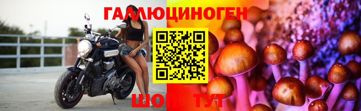 Губкин  Галлюциногенные грибы Psilocybine cubensis  Вход с VPN  Галлюциногенные грибы ЛСД 